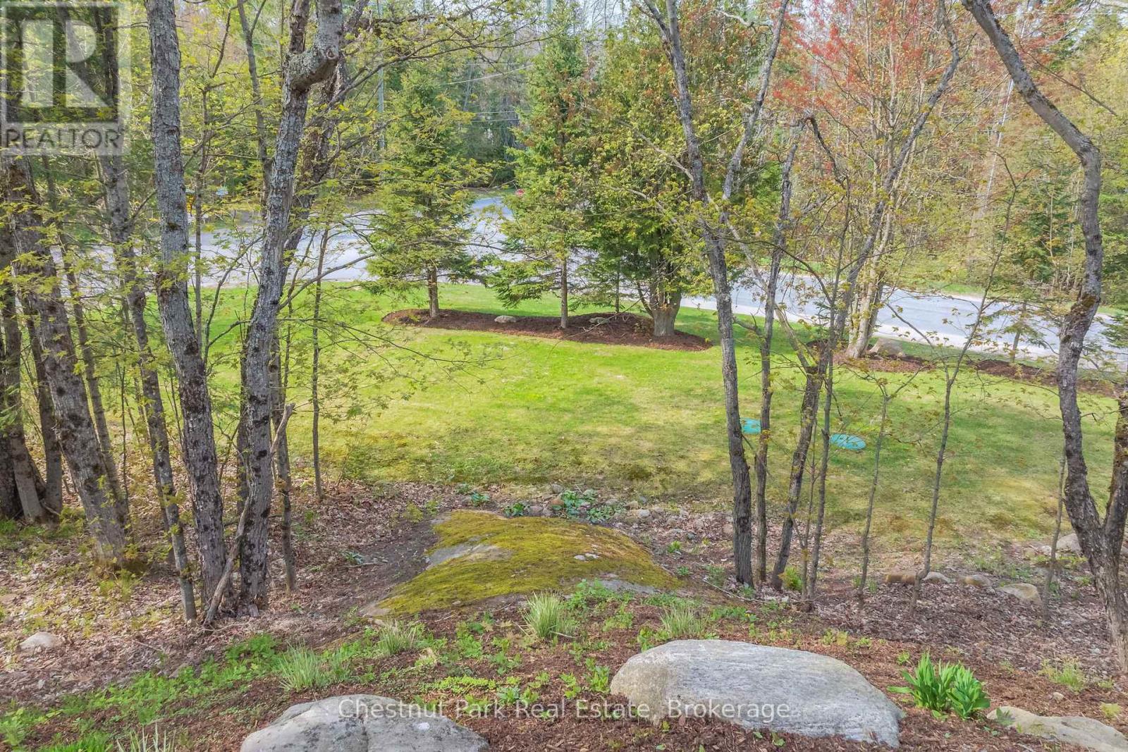 1205 Old Muskoka Road, Huntsville, Ontario  P0B 1M0 - Photo 38 - X12151232