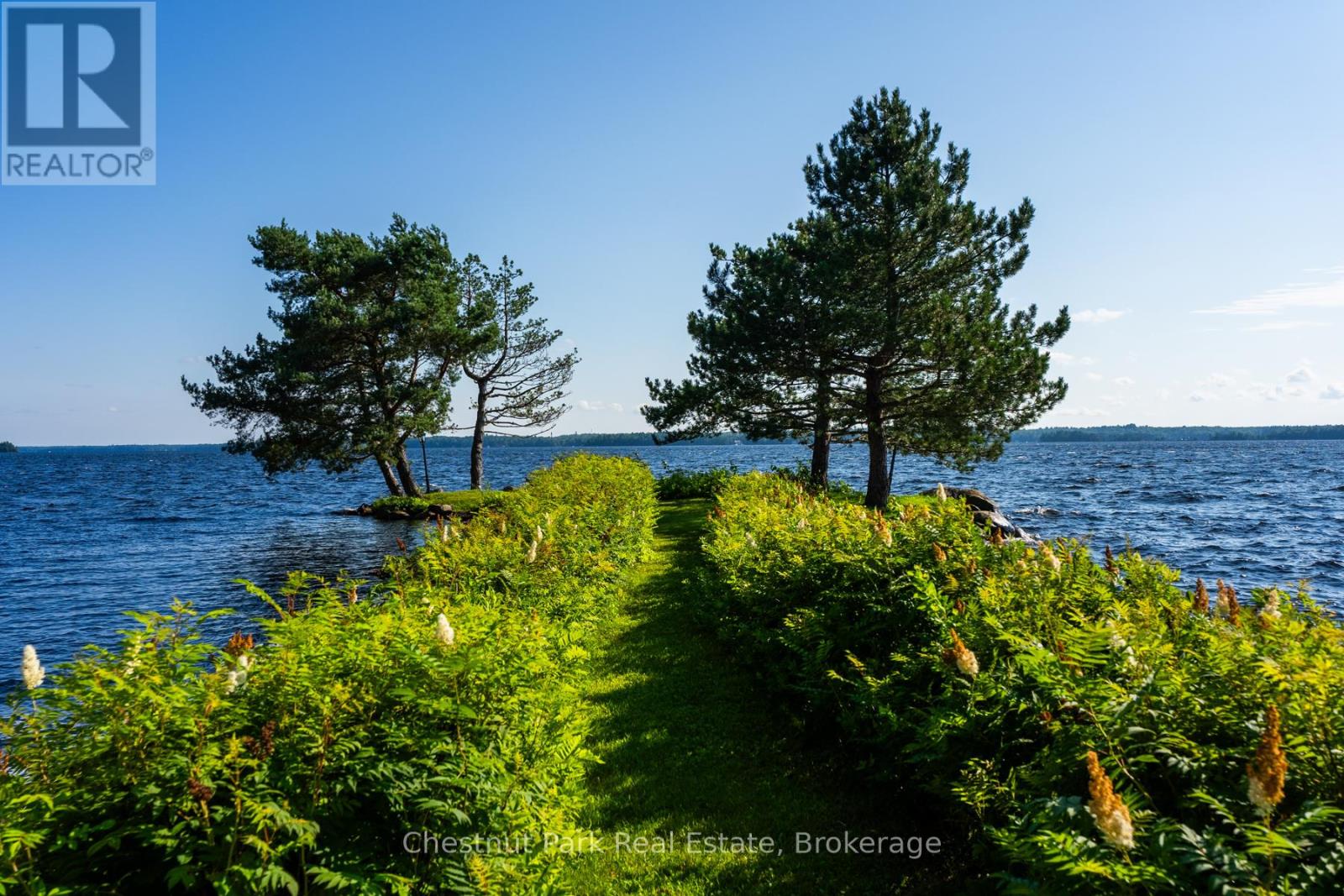 10 Wyldewood Road, Muskoka Lakes, Ontario  P1L 1W8 - Photo 6 - X12151233