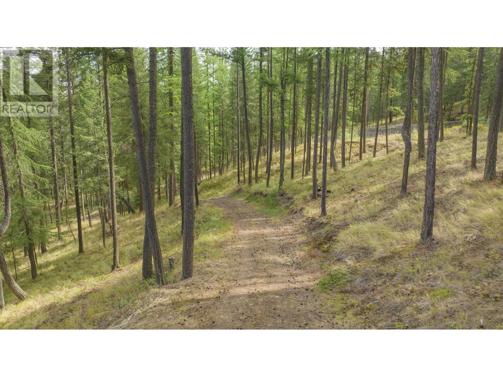 209 Horner Road, Lumby, British Columbia  V0E 2G7 - Photo 39 - 10343027