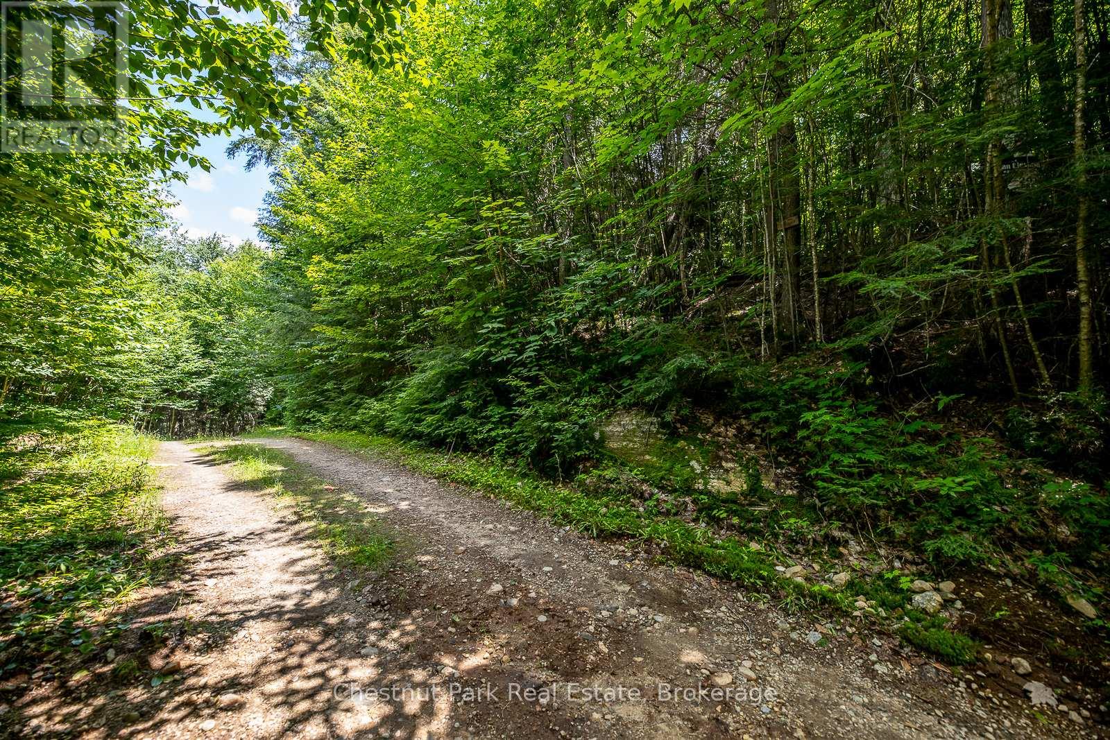 0 Minnow Drive, Dysart Et Al, Ontario  K0M 1S0 - Photo 11 - X12151320
