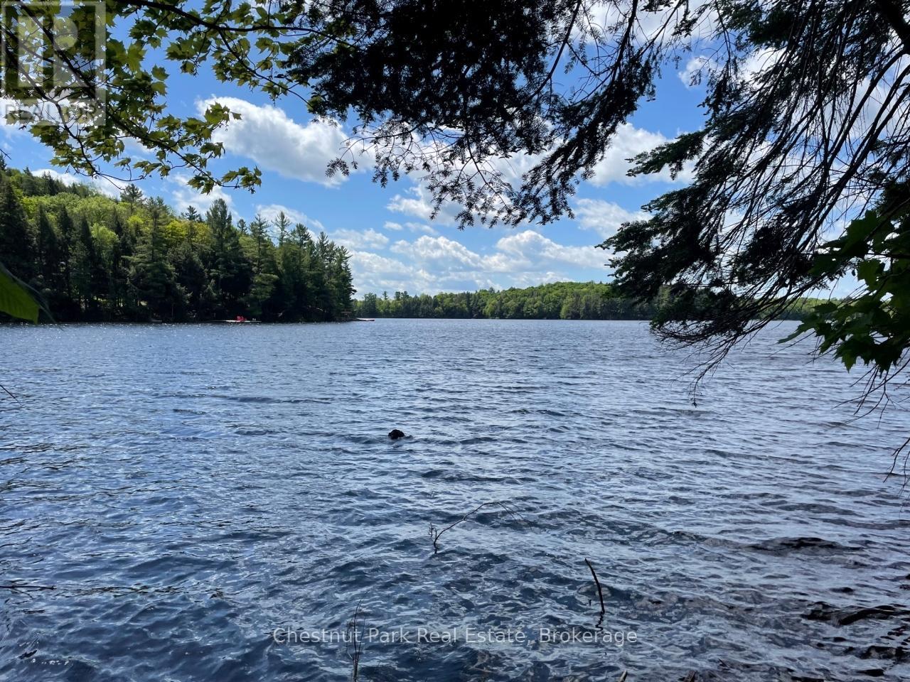 0 Minnow Drive, Dysart Et Al, Ontario  K0M 1S0 - Photo 4 - X12151320