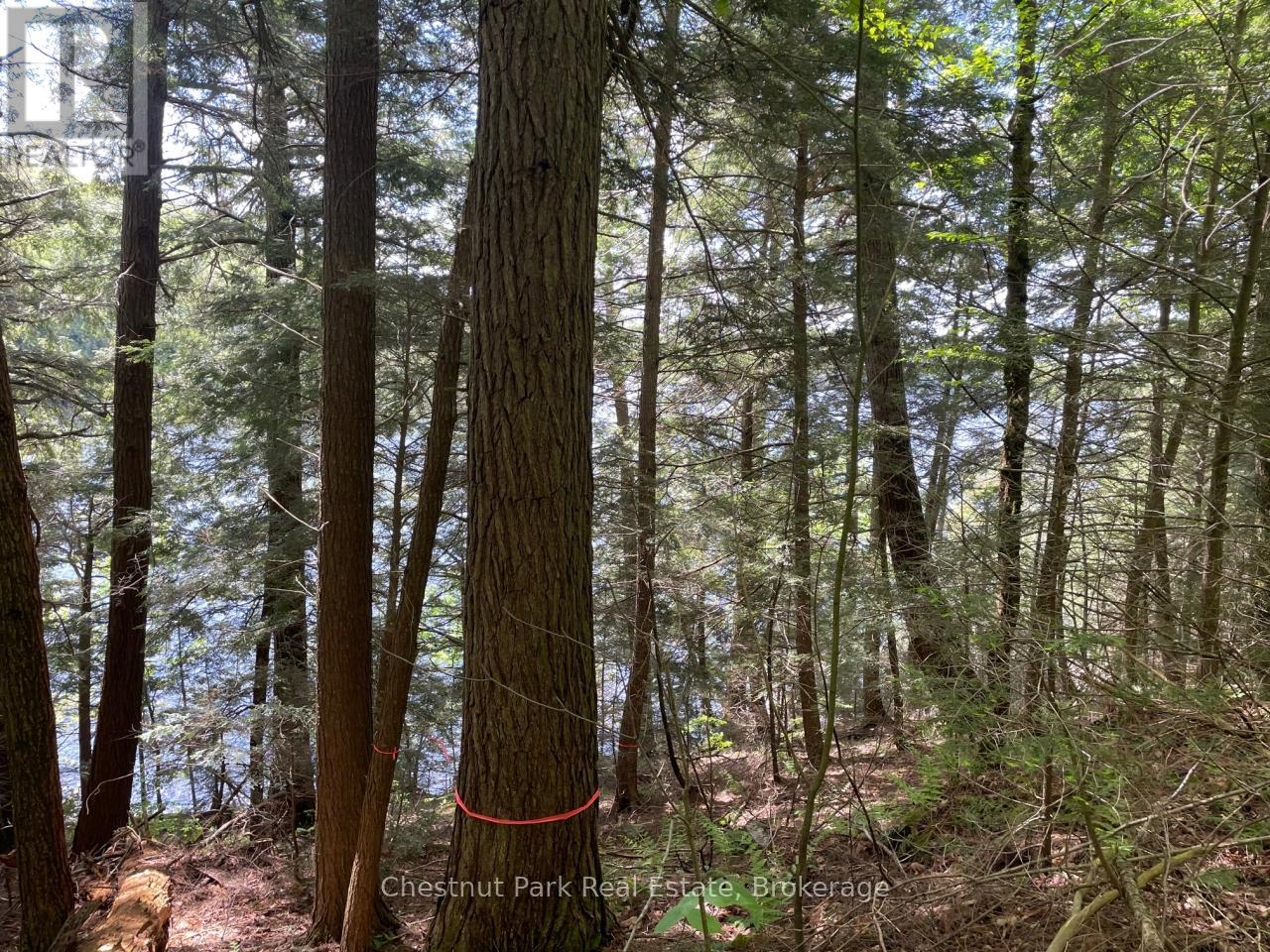 0 Minnow Drive, Dysart Et Al, Ontario  K0M 1S0 - Photo 6 - X12151320