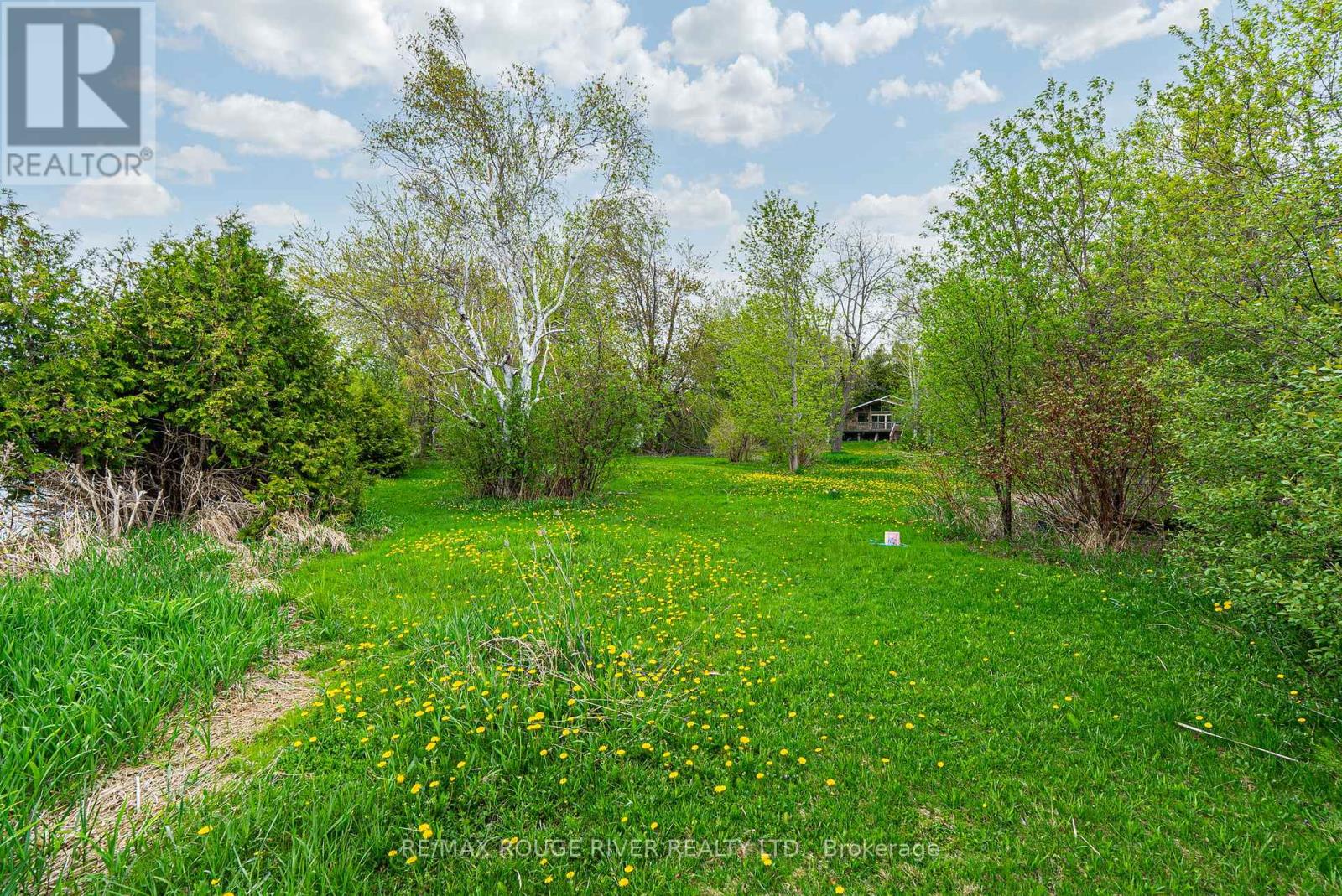 25 Oakdene Crescent, Kawartha Lakes, Ontario  K0M 2C0 - Photo 15 - X12151441