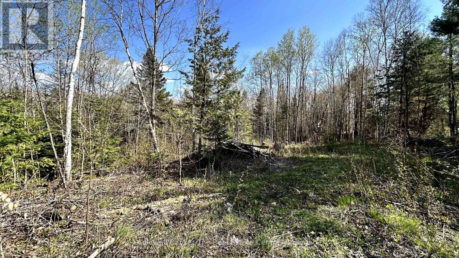 0 Ursa Road, Highlands East, Ontario  K0M 1S0 - Photo 12 - X12145817