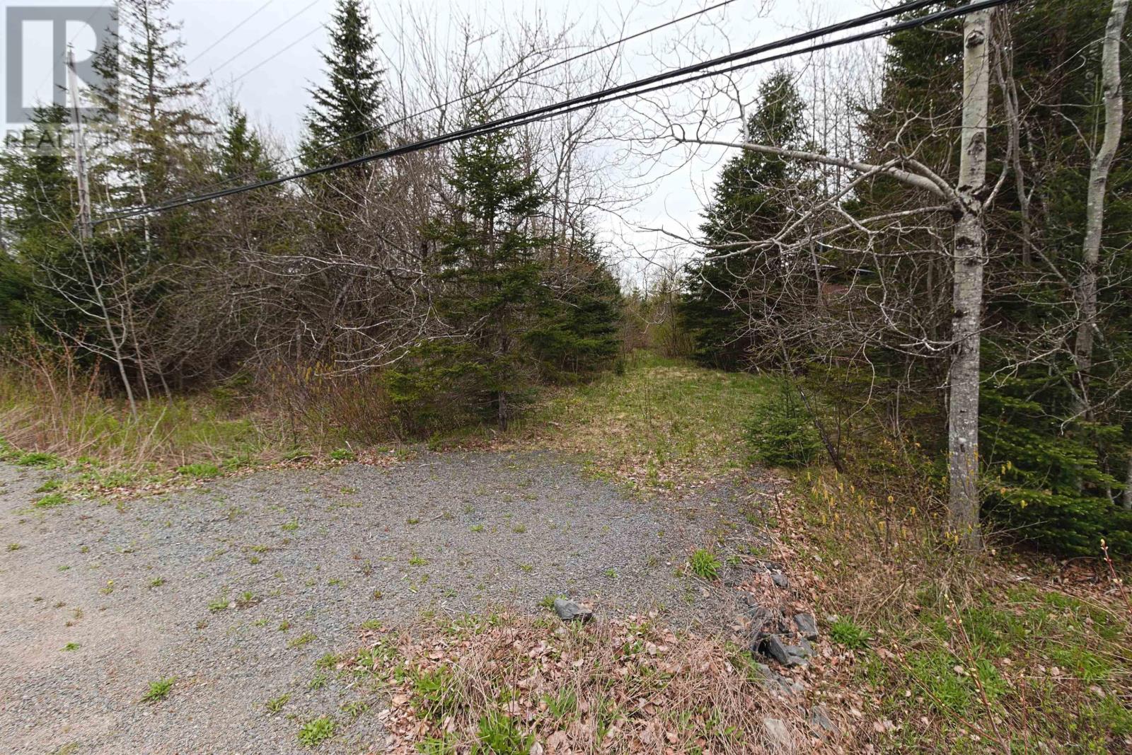 K-2 809 Newtonville Road, Forest Hill, Nova Scotia  B4P 1R1 - Photo 9 - 202511163