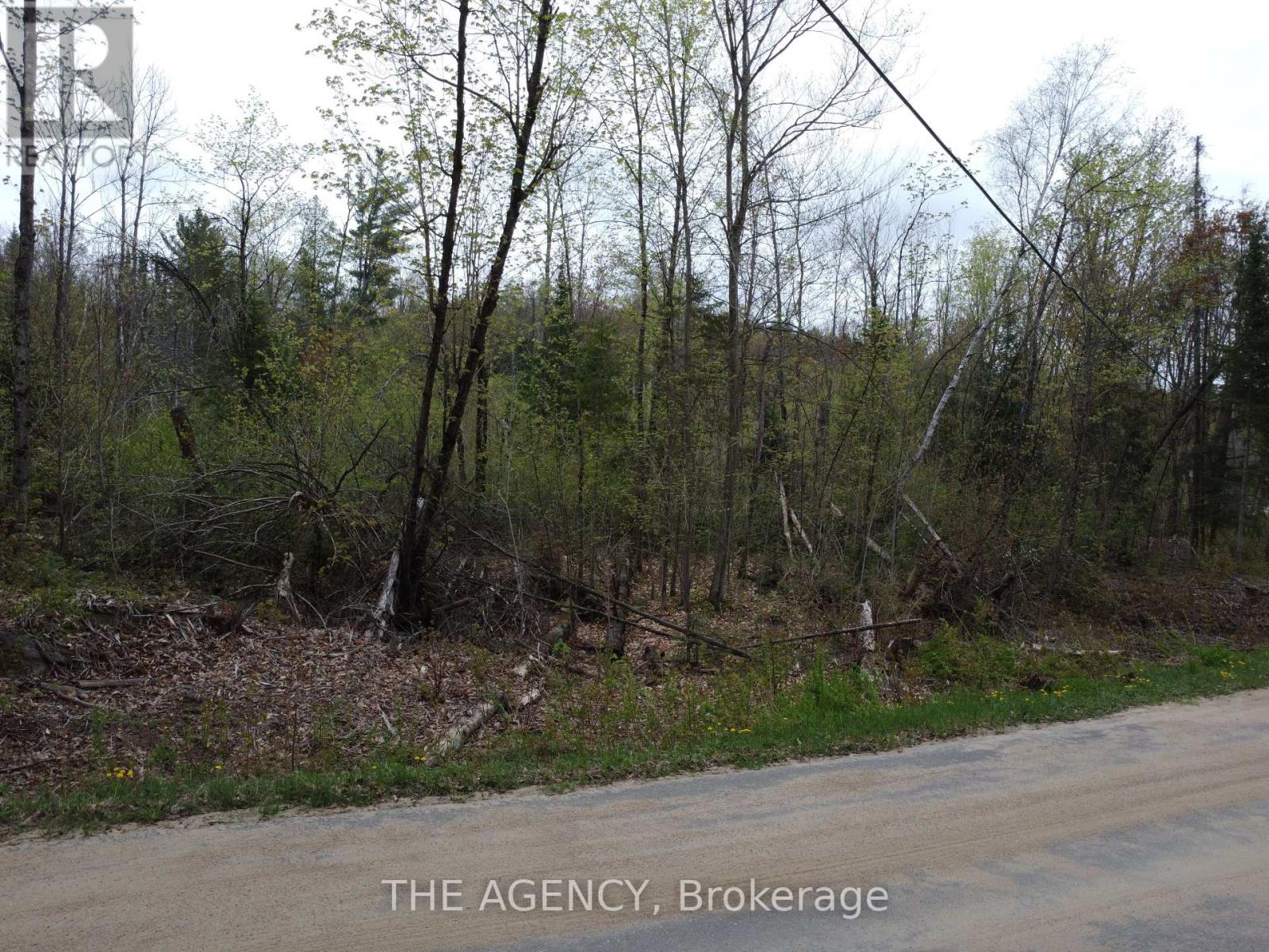 Pcl 21380 Walker Lake Drive E, Lake Of Bays, Ontario  P1H 2J6 - Photo 8 - X12151327