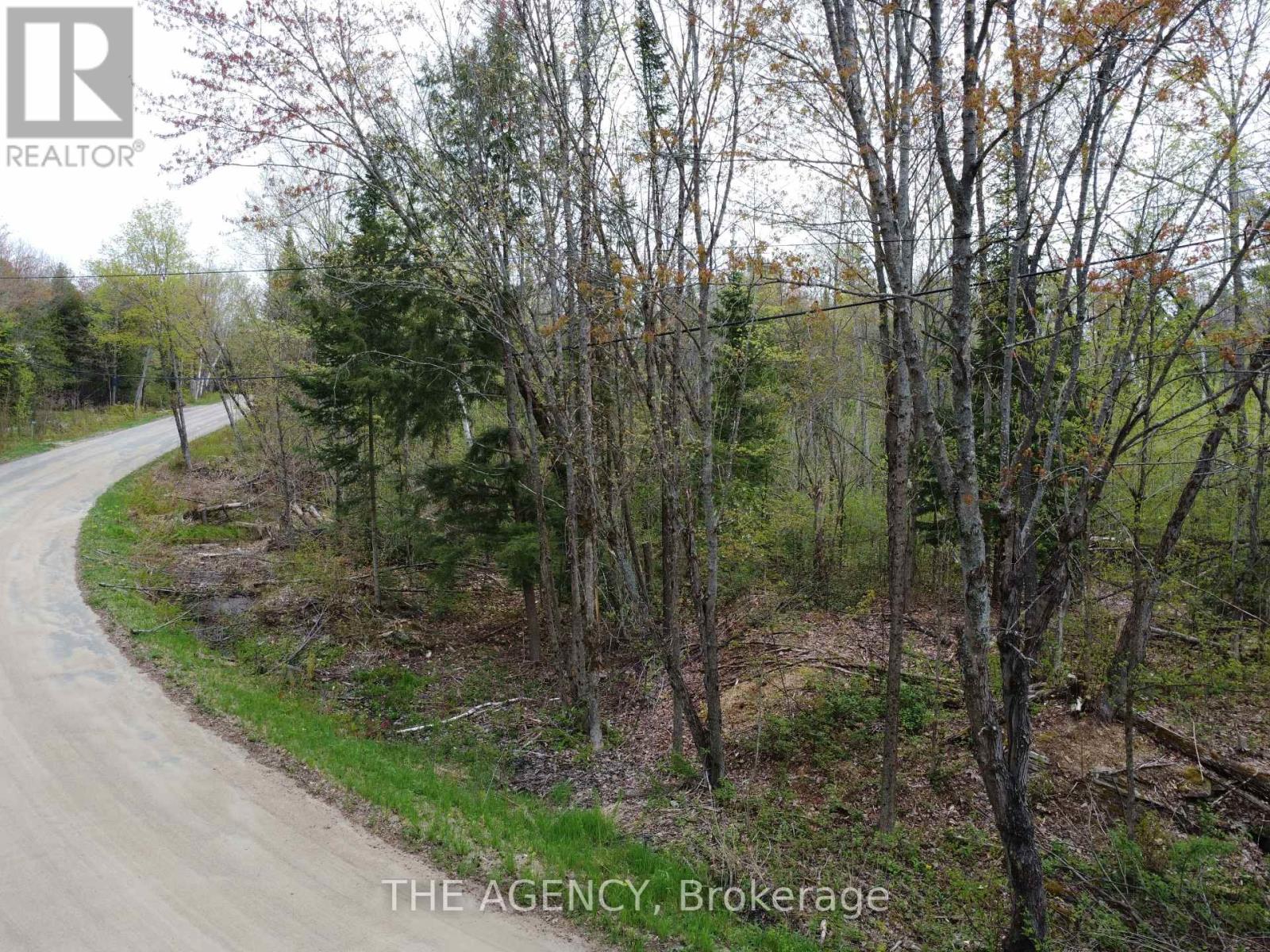 Pcl 21380 Walker Lake Drive E, Lake Of Bays, Ontario  P1H 2J6 - Photo 9 - X12151327