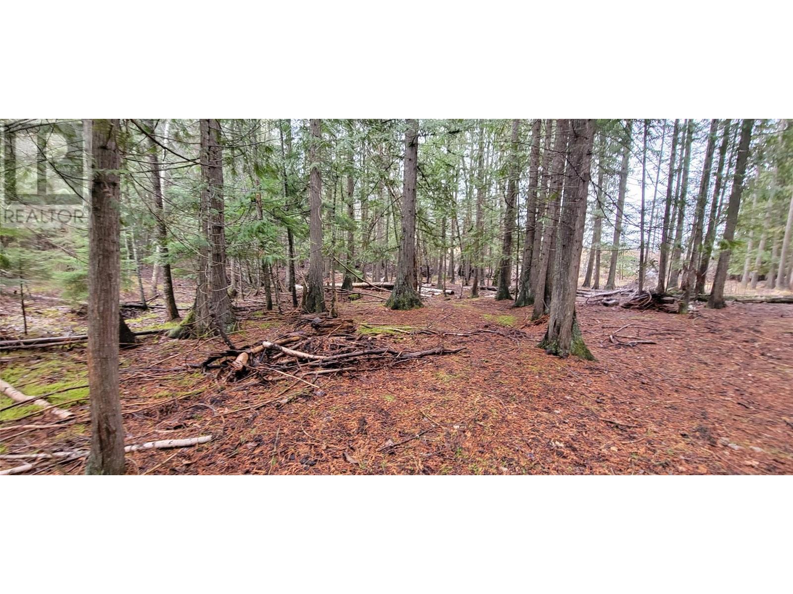 158 Rosebery Road, Rosebery, British Columbia  V0G 1S1 - Photo 7 - 10339141