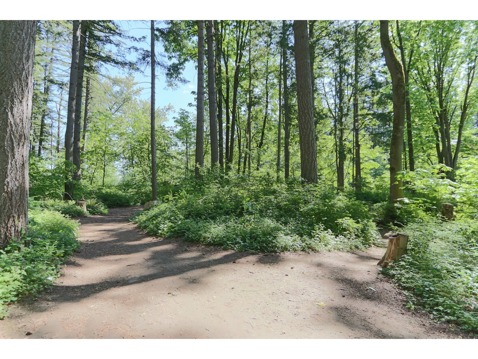 207 5380 Tyee Lane, Garrison Crossing, Chilliwack, British Columbia  V2R 6B6 - Photo 32 - R3003253