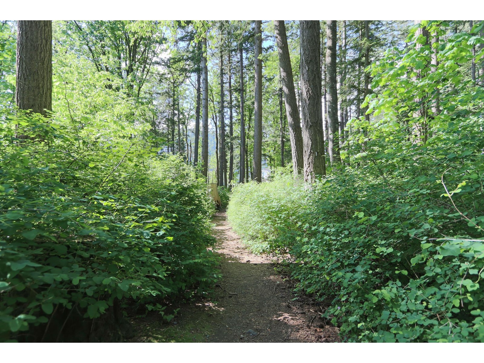 207 5380 Tyee Lane, Garrison Crossing, Chilliwack, British Columbia  V2R 6B6 - Photo 37 - R3003253