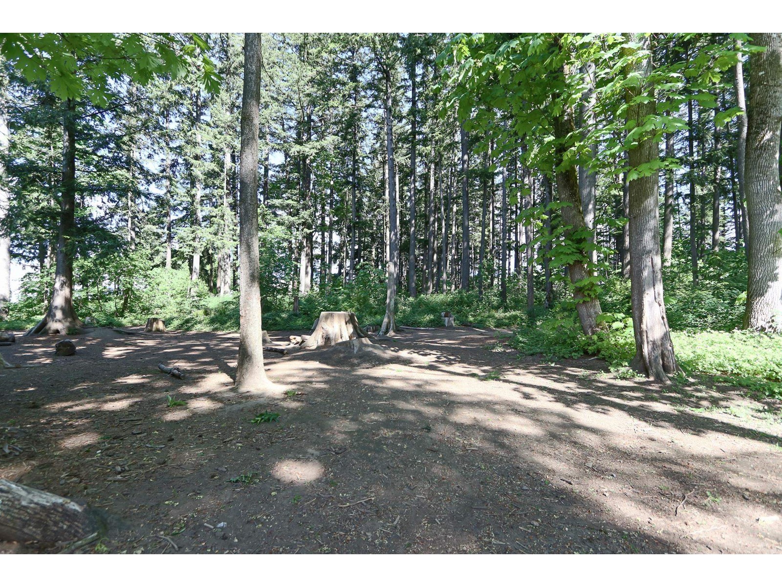 207 5380 Tyee Lane, Garrison Crossing, Chilliwack, British Columbia  V2R 6B6 - Photo 31 - R3003253