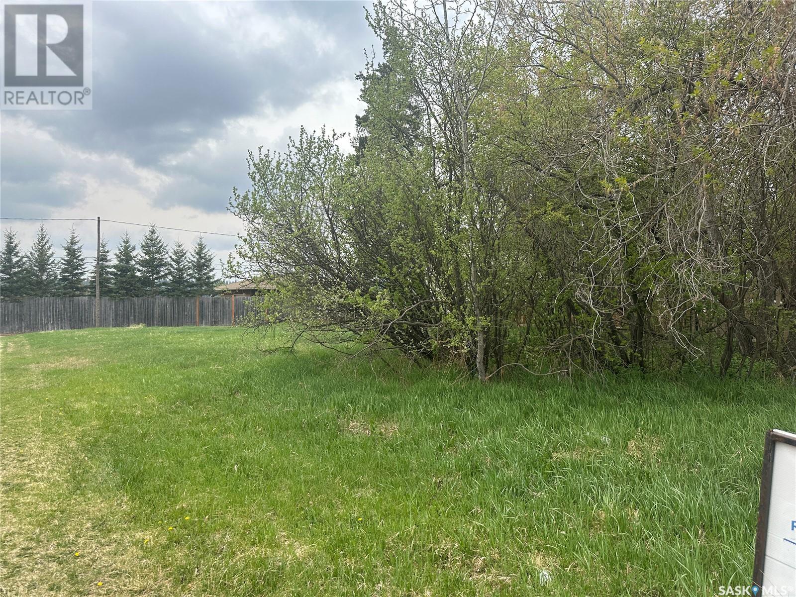 5&6 1st Avenue N, Big River, Saskatchewan  S0J 0E0 - Photo 3 - SK005750