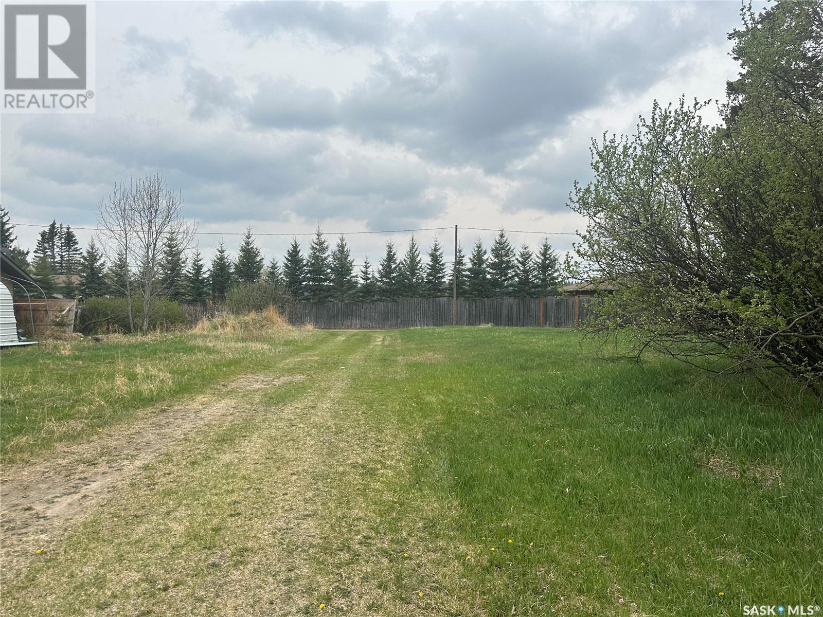 5&6 1st Avenue N, Big River, Saskatchewan  S0J 0E0 - Photo 4 - SK005750