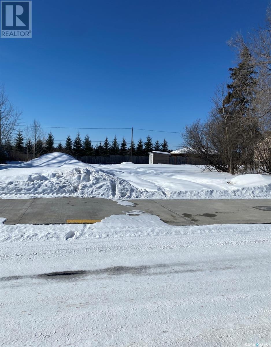 5&6 1st Avenue N, Big River, Saskatchewan  S0J 0E0 - Photo 5 - SK005750