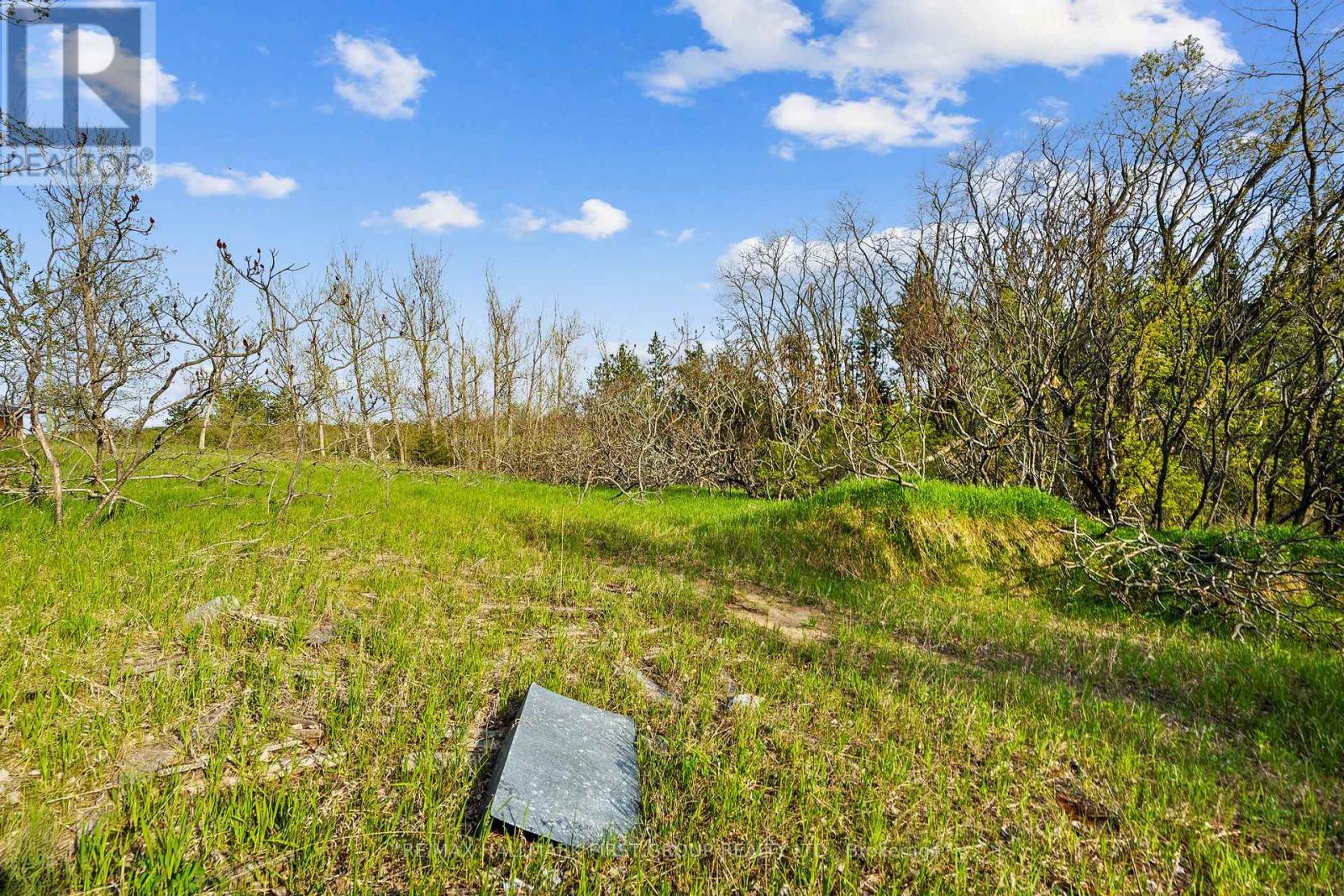 167 Gummow Road, Trent Hills, Ontario  K0K 3K0 - Photo 30 - X12151533