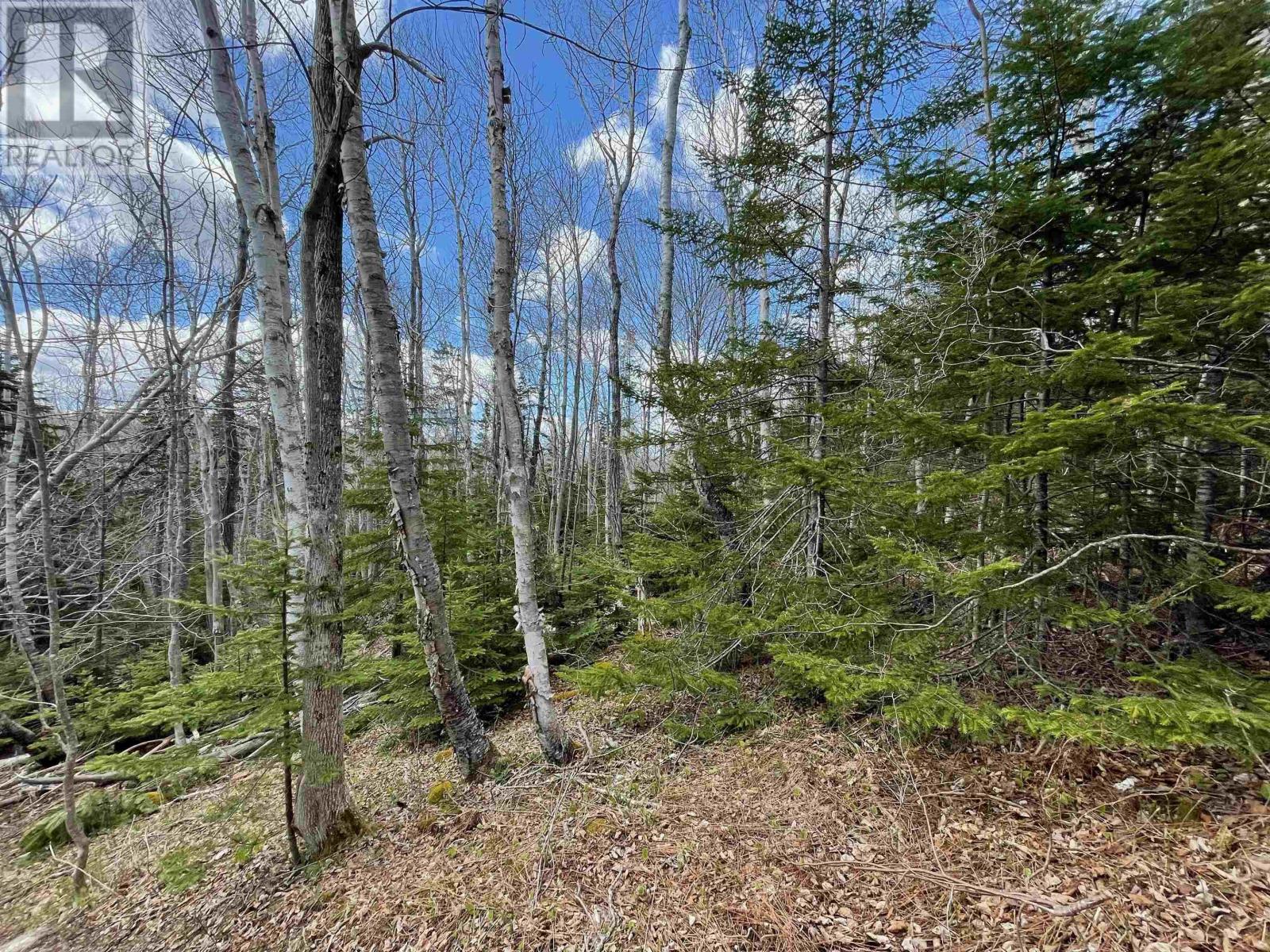 0 Campbell Road, Balls Creek, Nova Scotia  B2X 4M1 - Photo 5 - 202511114