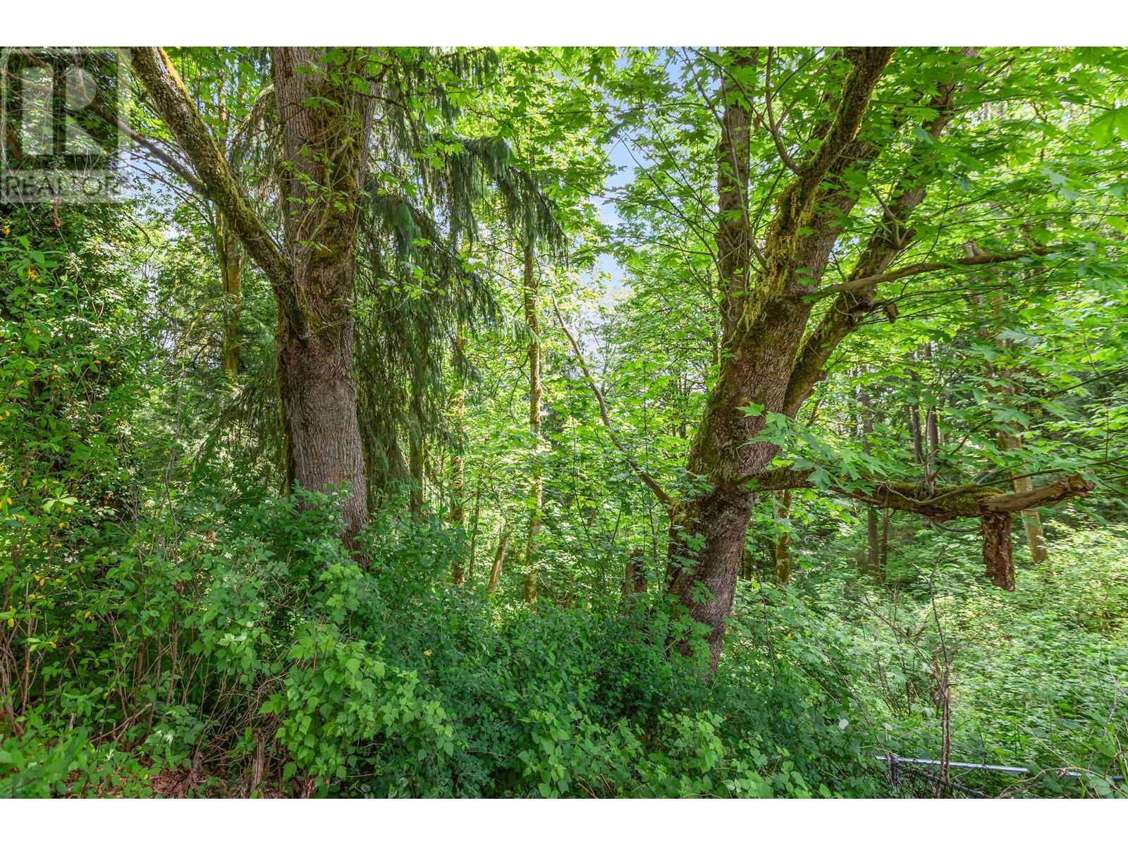10610 238 Street, Maple Ridge, British Columbia  V2W 1E4 - Photo 39 - R3003367