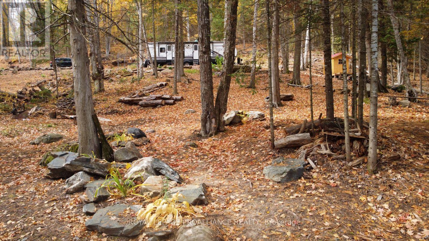22202 Highway 41, Addington Highlands, Ontario  K0H 1L0 - Photo 2 - X12151991
