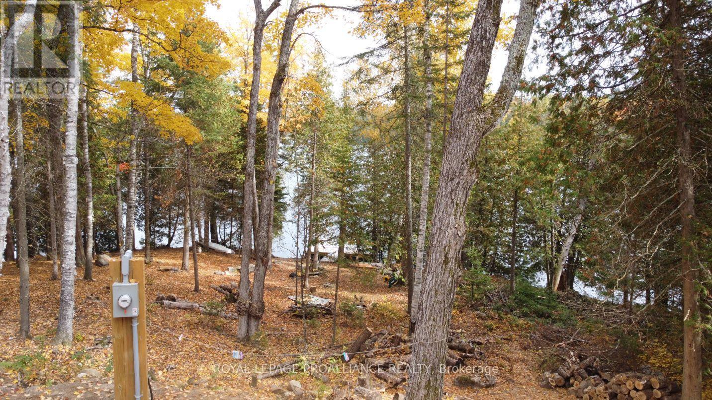 22202 Highway 41, Addington Highlands, Ontario  K0H 1L0 - Photo 22 - X12151991
