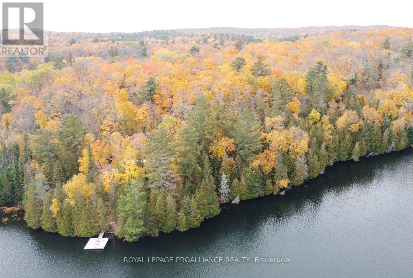 22202 Highway 41, Addington Highlands, Ontario  K0H 1L0 - Photo 23 - X12151991