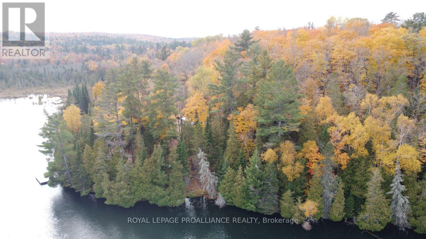 22202 Highway 41, Addington Highlands, Ontario  K0H 1L0 - Photo 25 - X12151991