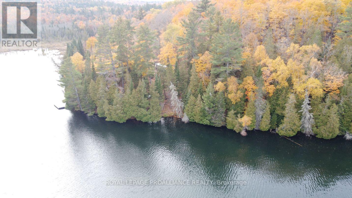 22202 Highway 41, Addington Highlands, Ontario  K0H 1L0 - Photo 26 - X12151991