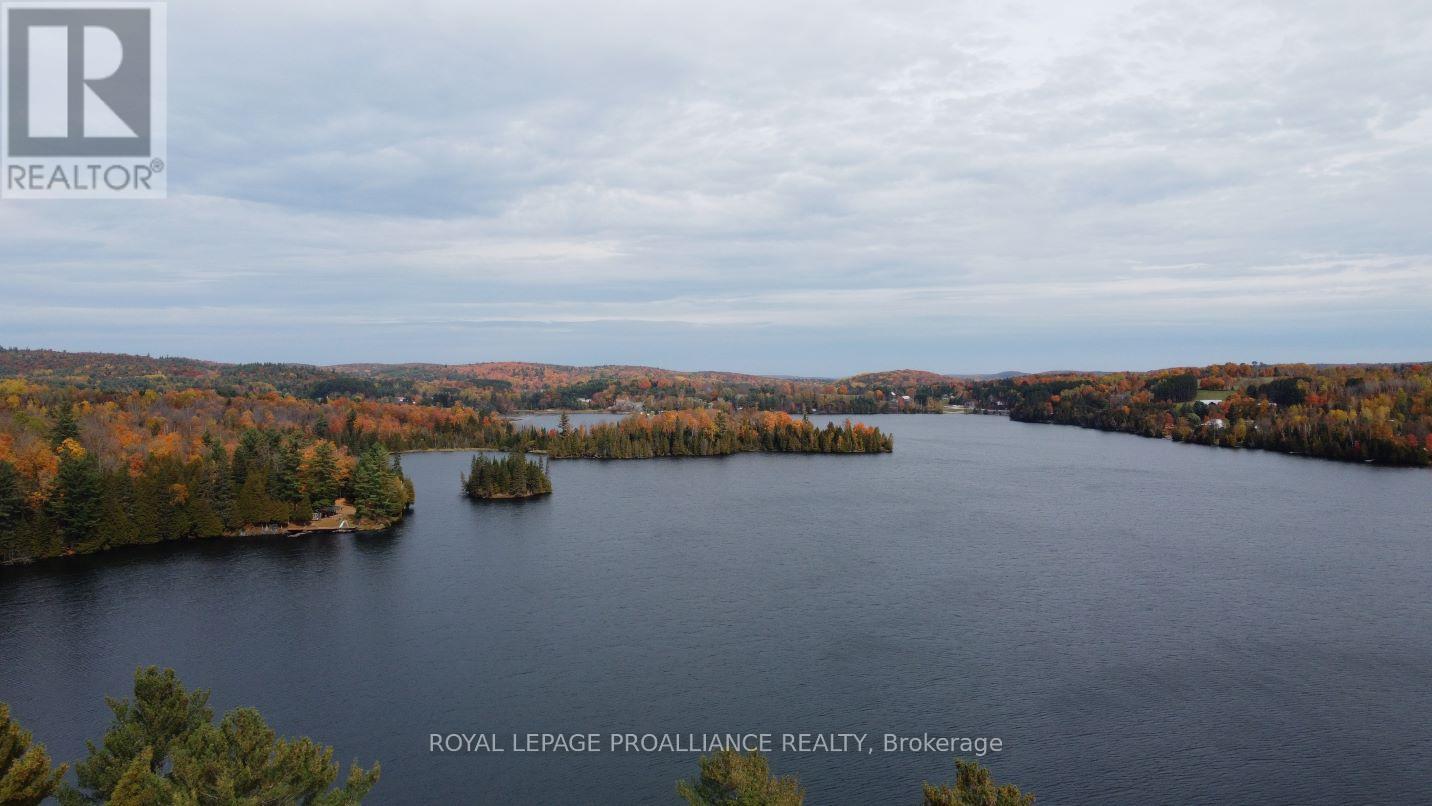 22202 Highway 41, Addington Highlands, Ontario  K0H 1L0 - Photo 30 - X12151991