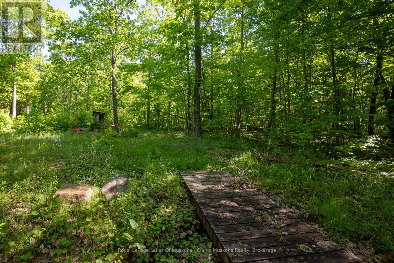 520 Sweets Portage Road, Georgian Bay, Ontario  L0K 1S0 - Photo 12 - X12151757