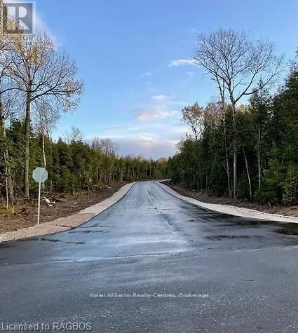 Lot 10 Trillium Crossing, Northern Bruce Peninsula, Ontario  N0H 1W0 - Photo 35 - X12151939