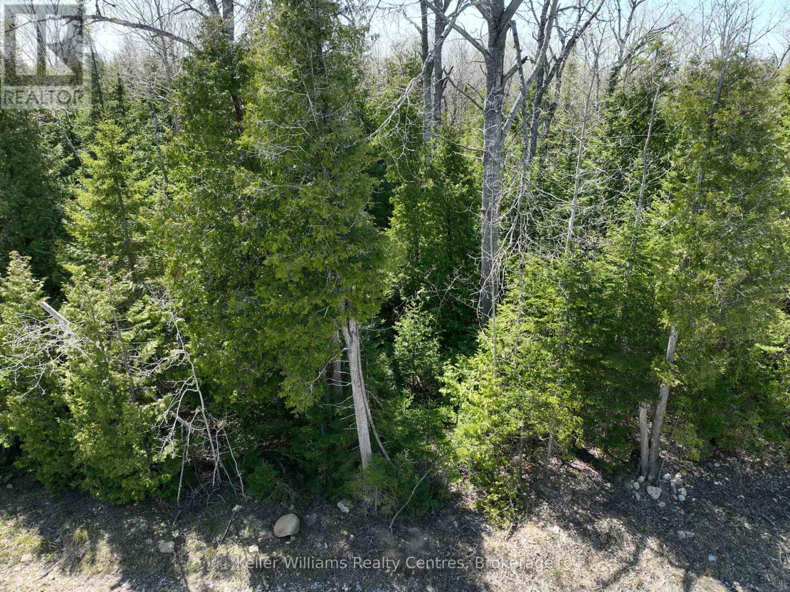Lot 10 Trillium Crossing, Northern Bruce Peninsula, Ontario  N0H 1W0 - Photo 4 - X12151939