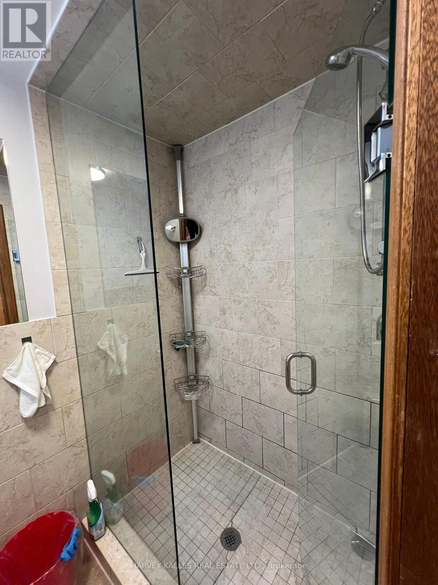 Basement - 80 Maple Grove Avenue, Richmond Hill, Ontario  L4E 2X2 - Photo 8 - N12151983