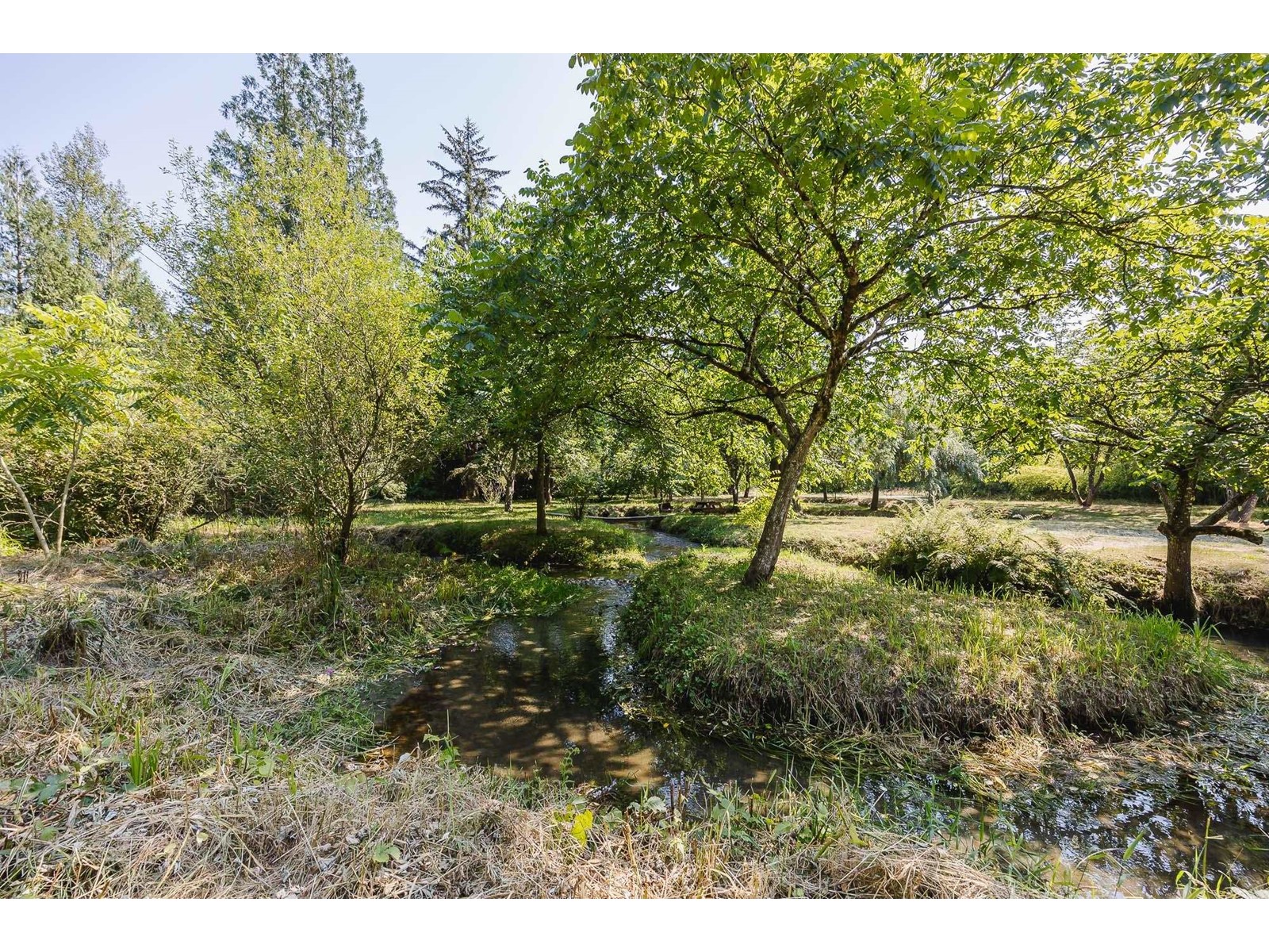 11977 Stave Lake Road, Mission, British Columbia  V2V 4J1 - Photo 16 - R3003112