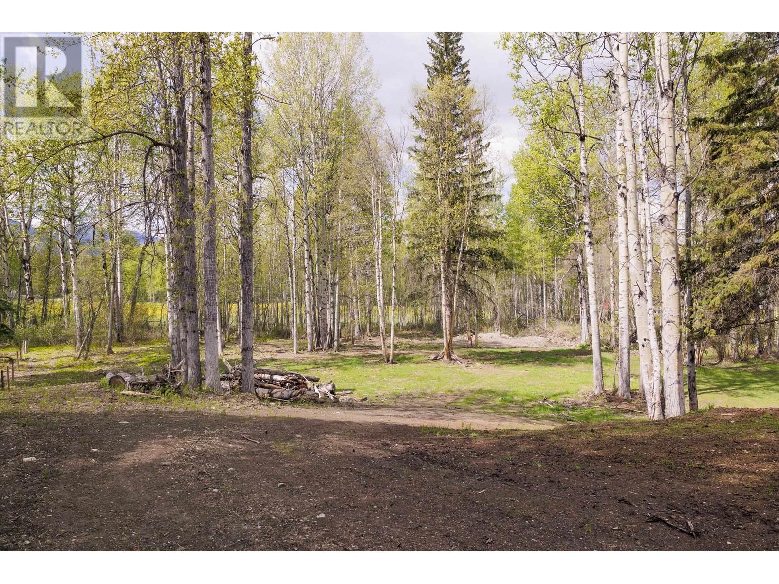 3019 Westlund Road, Mcbride, British Columbia  V0J 2E0 - Photo 5 - R3003422
