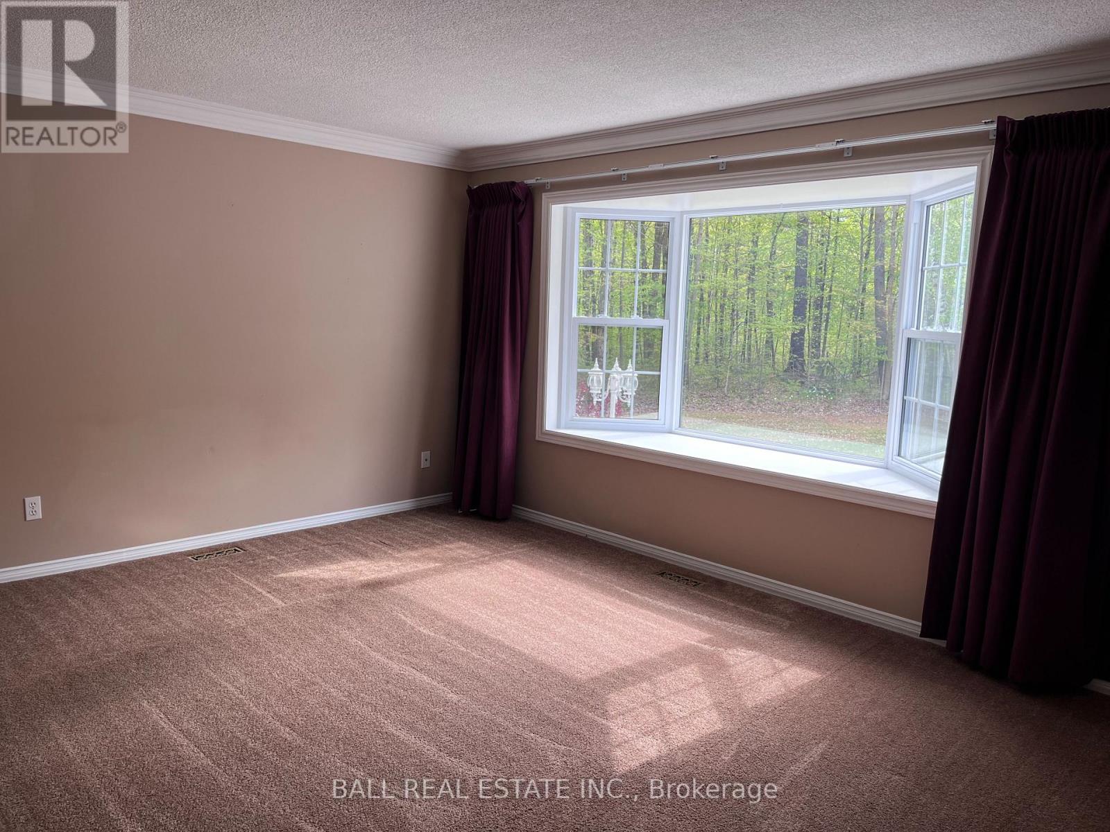 975 Belmont 2nd Line, Havelock-Belmont-Methuen, Ontario  K0L 1Z0 - Photo 5 - X12144966