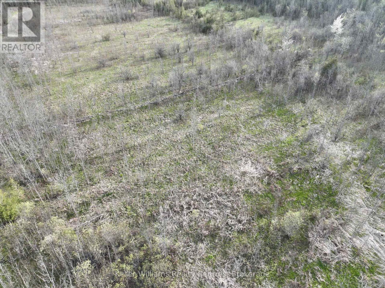 454 Balmy Beach Road, Georgian Bluffs, Ontario  N4K 5N4 - Photo 18 - X12152257