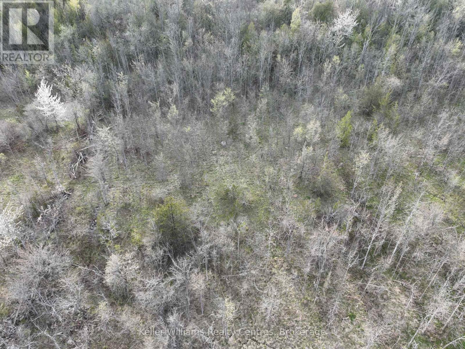 454 Balmy Beach Road, Georgian Bluffs, Ontario  N4K 5N4 - Photo 19 - X12152257