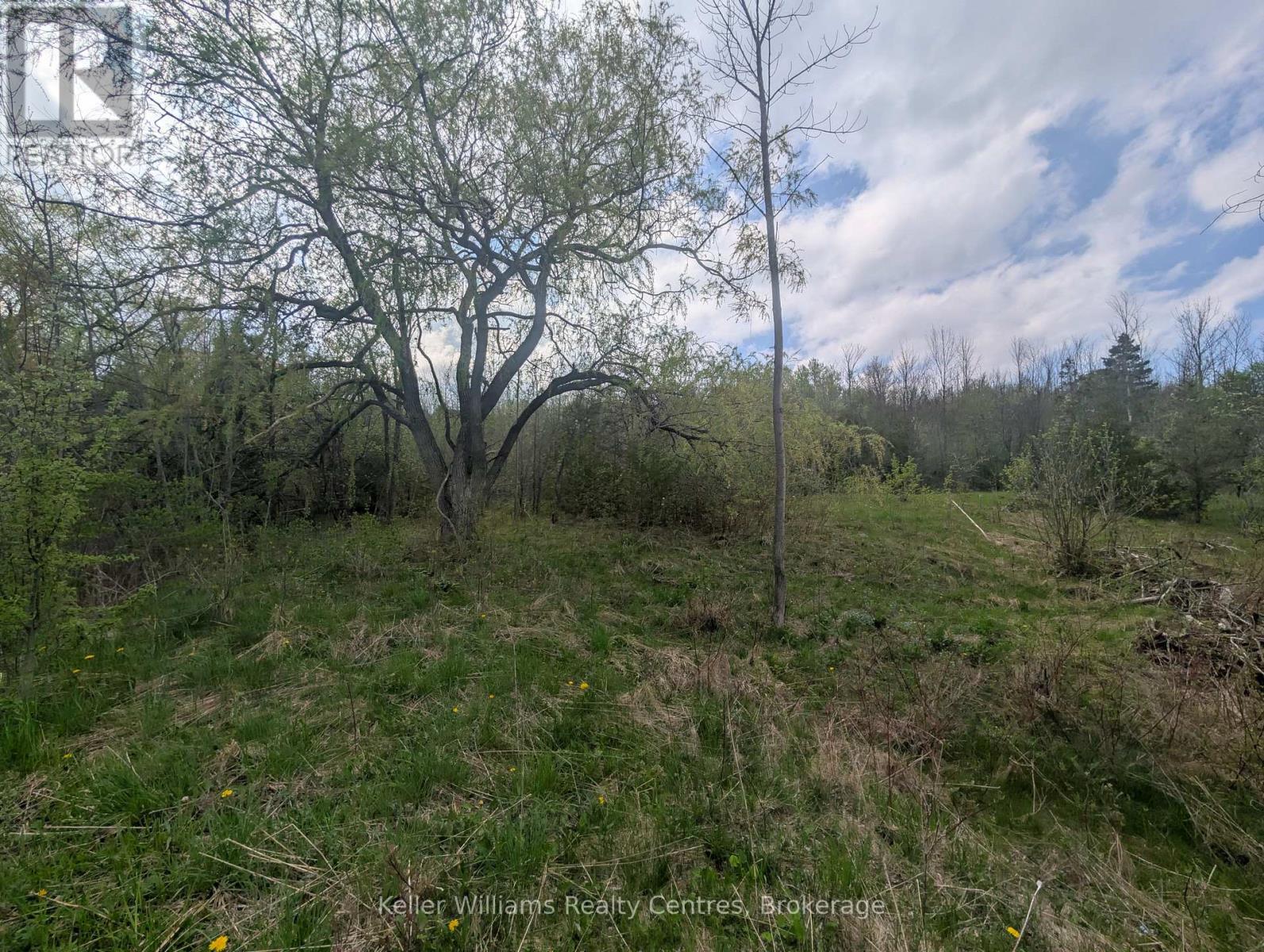 454 Balmy Beach Road, Georgian Bluffs, Ontario  N4K 5N4 - Photo 32 - X12152257