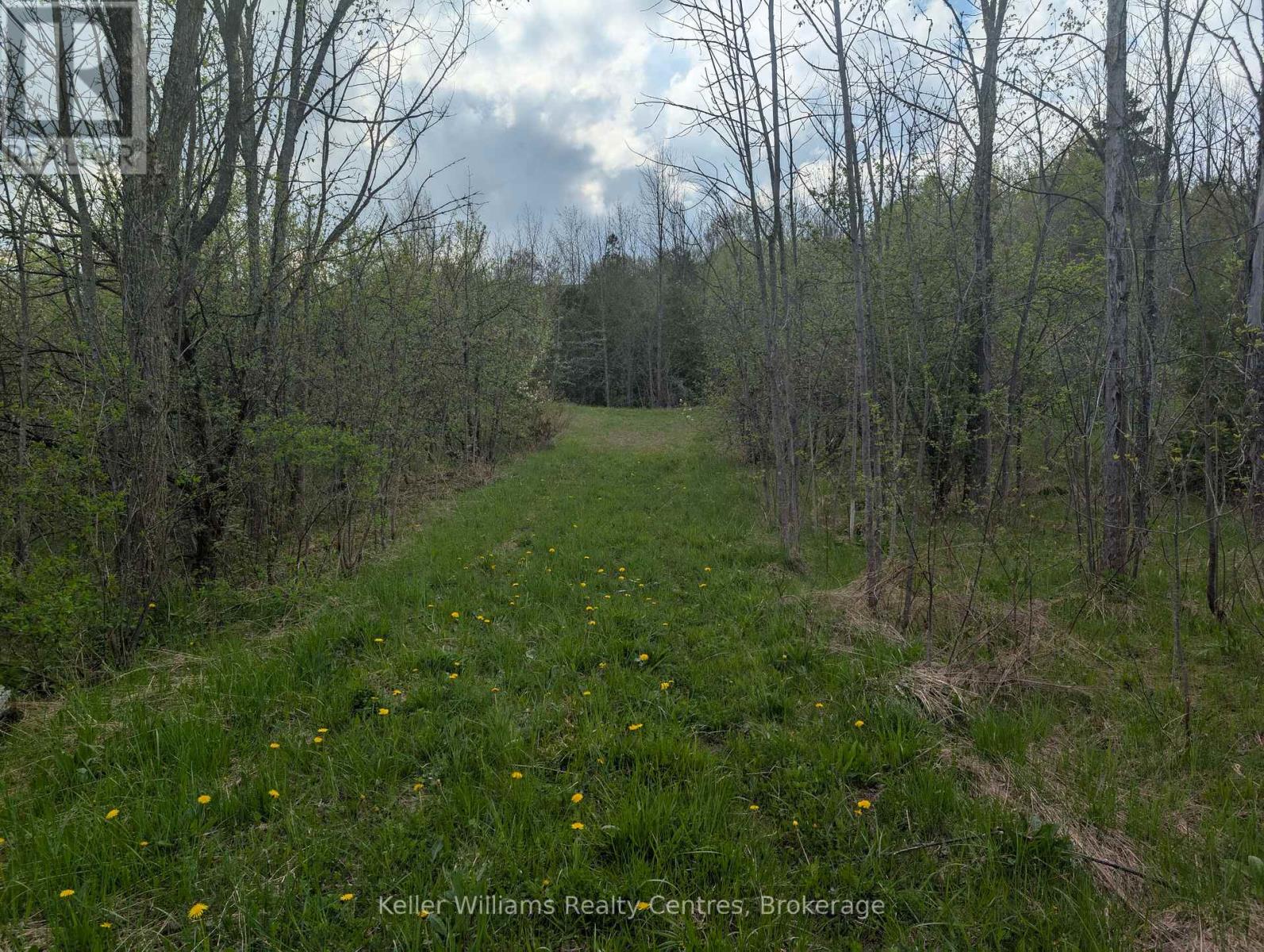 454 Balmy Beach Road, Georgian Bluffs, Ontario  N4K 5N4 - Photo 7 - X12152257