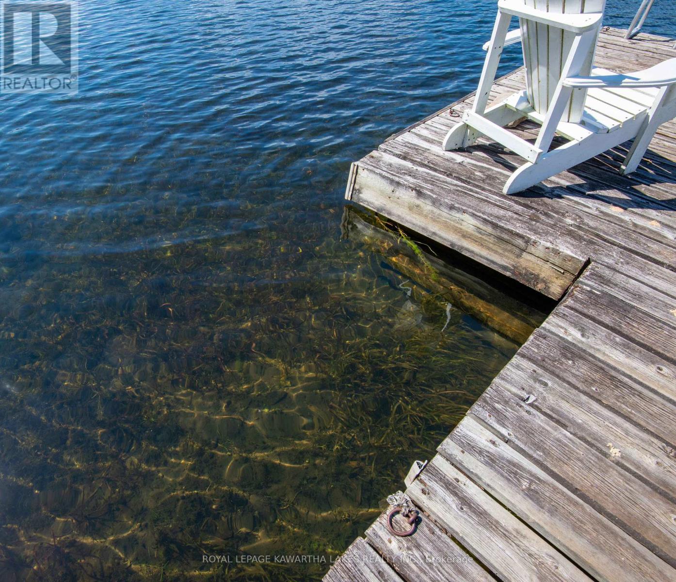 34 Deweys Island, Kawartha Lakes, Ontario  K0M 1N0 - Photo 21 - X12152364