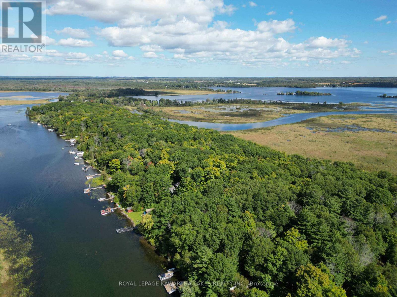 34 Deweys Island, Kawartha Lakes, Ontario  K0M 1N0 - Photo 37 - X12152364