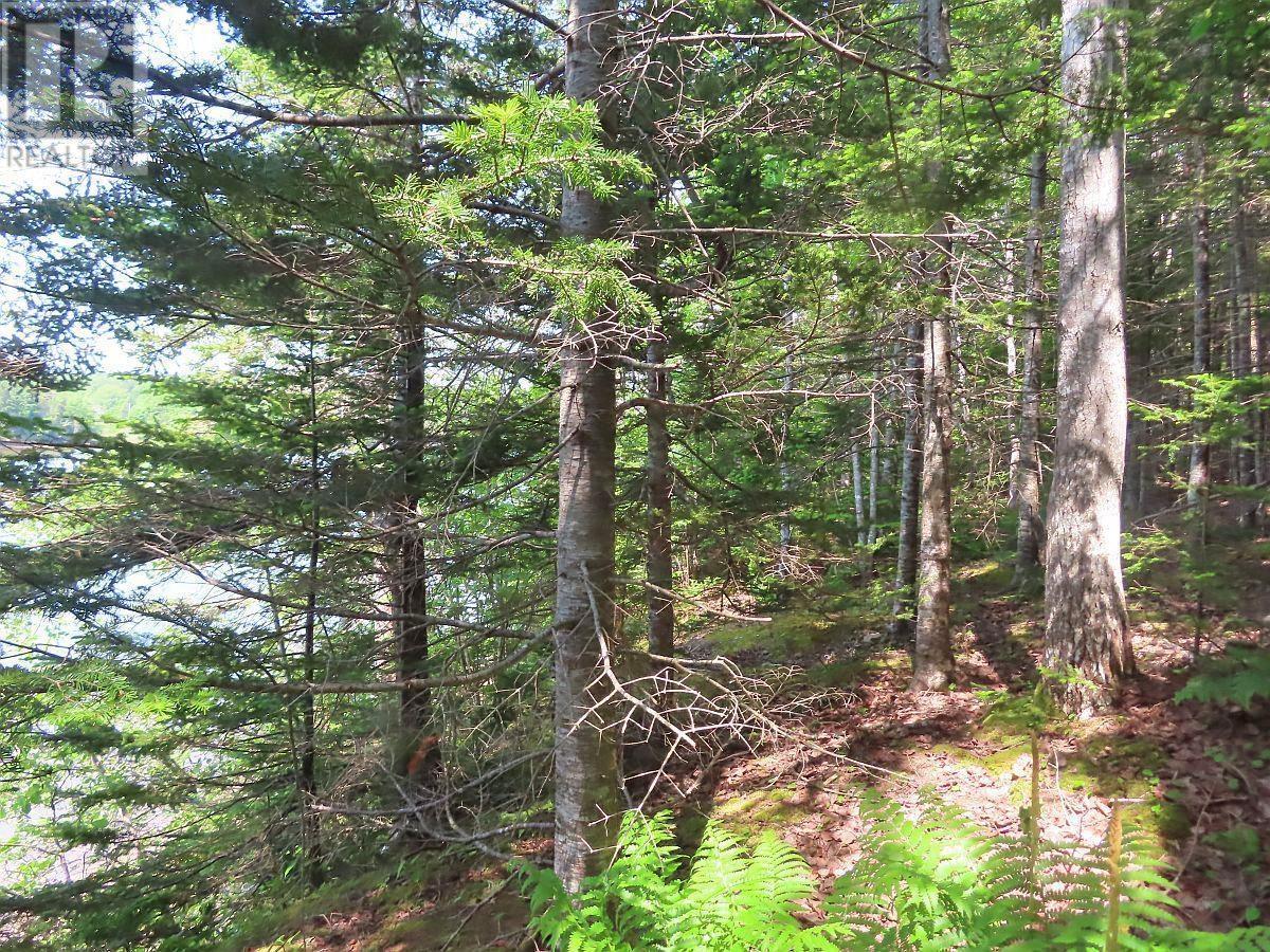 Lot 12a Dorothy Robinson Drive, Evanston, Nova Scotia  B0E 1J0 - Photo 13 - 202511201