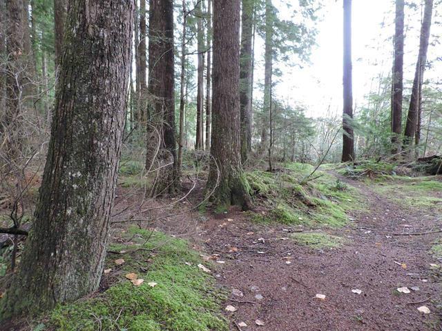 33875 Richards Avenue, Mission, British Columbia  V2V 7E3 - Photo 33 - R3003470
