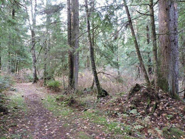 33875 Richards Avenue, Mission, British Columbia  V2V 7E3 - Photo 37 - R3003470