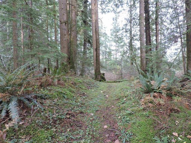 33875 Richards Avenue, Mission, British Columbia  V2V 7E3 - Photo 36 - R3003470