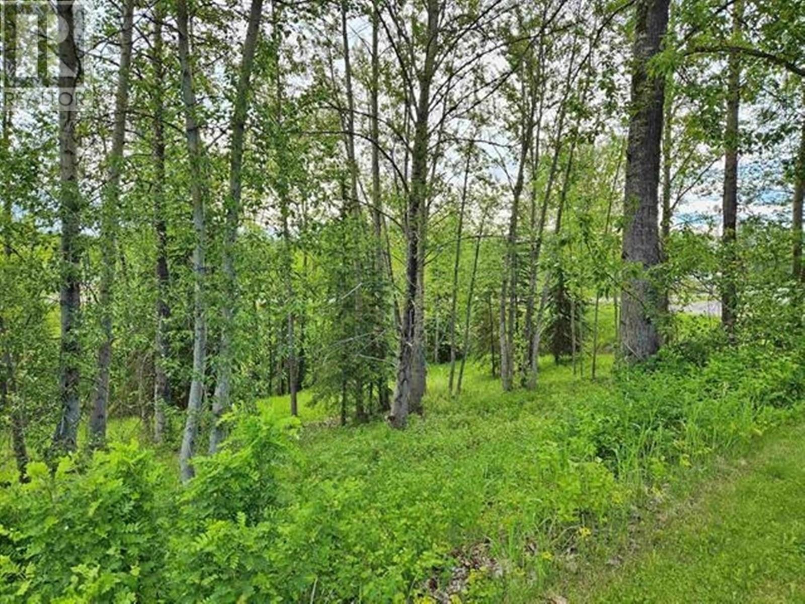 2290 Ash Avenue, Quesnel, British Columbia  V2J 3X7 - Photo 24 - R3003436