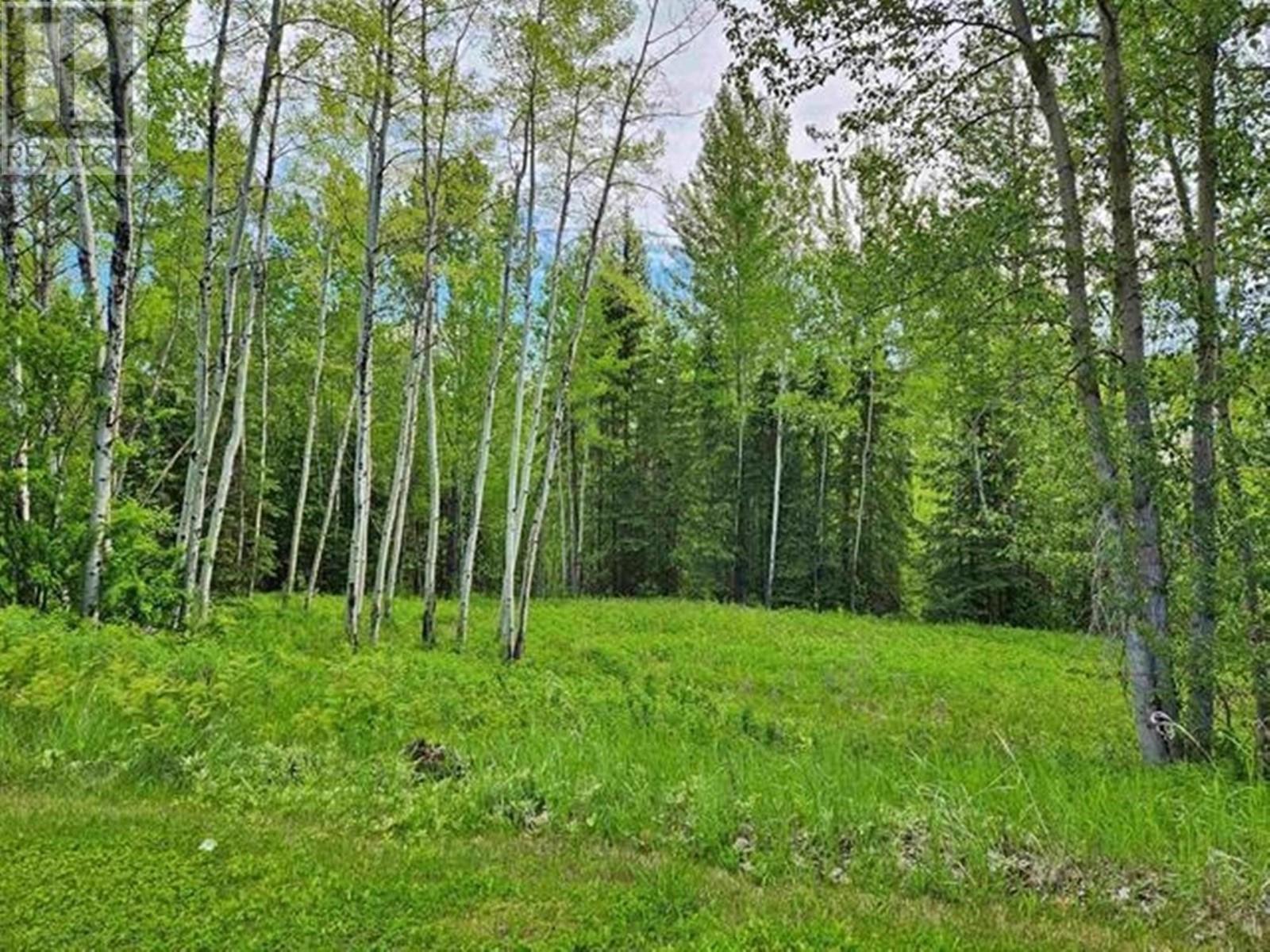 2290 Ash Avenue, Quesnel, British Columbia  V2J 3X7 - Photo 23 - R3003436