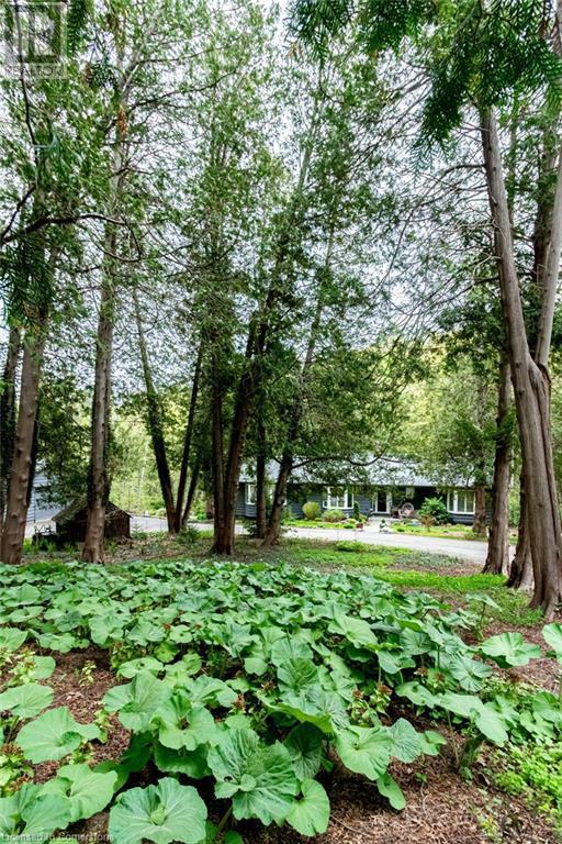 6087 Cedar Springs Road, Burlington, Ontario  L7P 0C4 - Photo 6 - 40729330