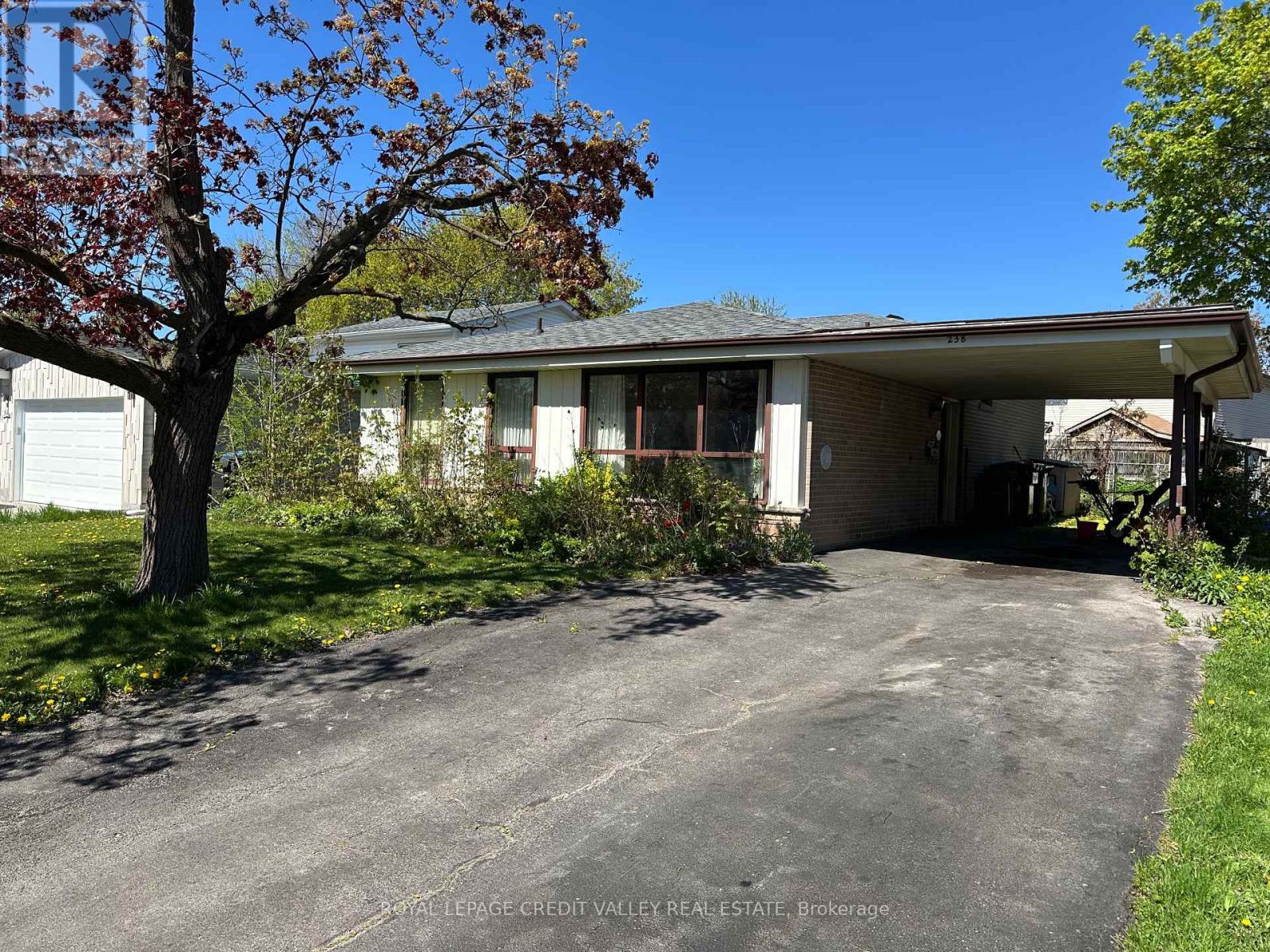 Property at 238 BARTLEY BULL PARKWAY image 2