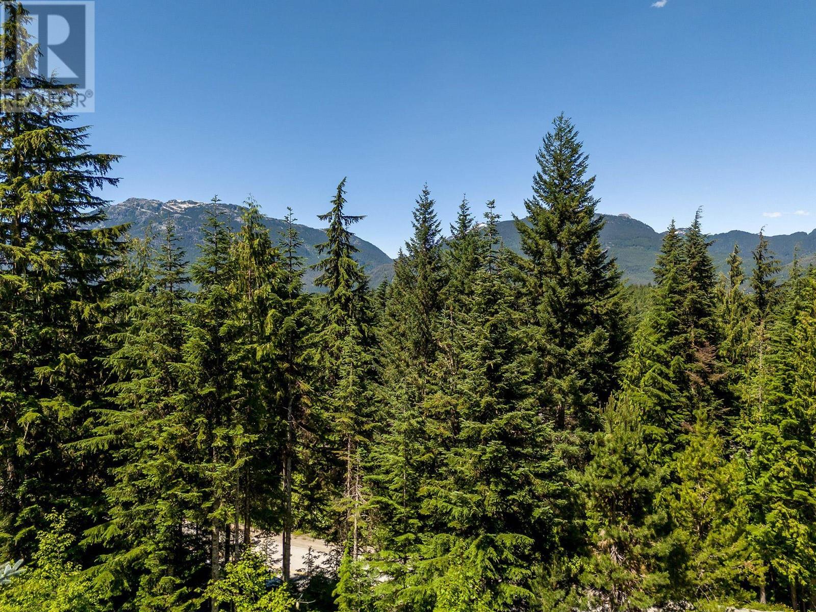 4673 Blackcomb Way, Whistler, British Columbia  V8E 0Z3 - Photo 21 - R2993045