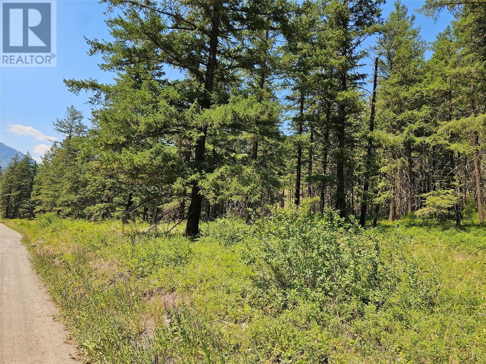 Lot A White Lake Road, Kaleden, British Columbia  V0H 1K0 - Photo 6 - 10348243